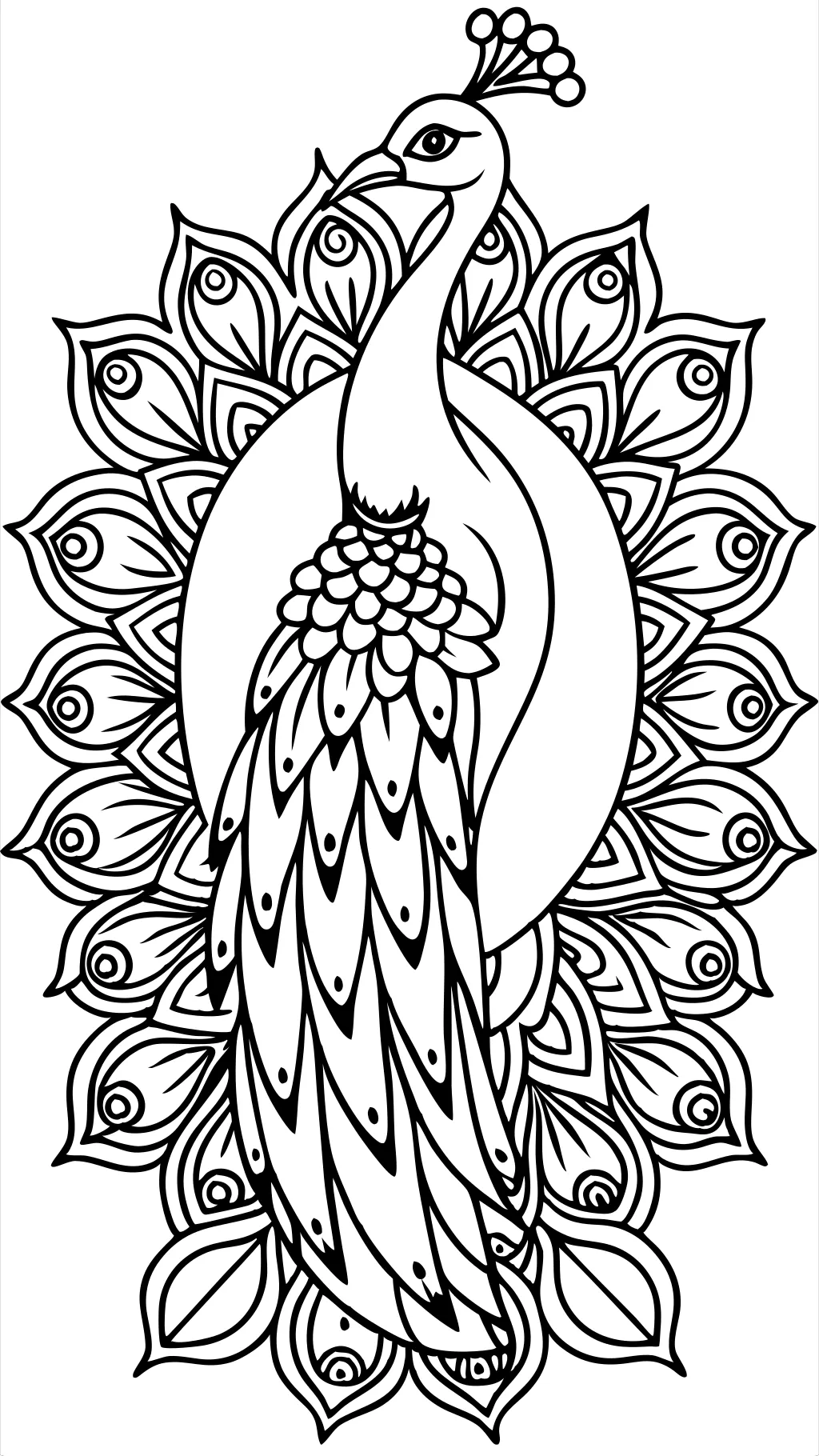 coloriage adulte paon